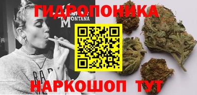 прущие крисы Новозыбков
