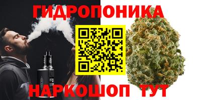 ПСИЛОЦИБИНОВЫЕ ГРИБЫ Обь