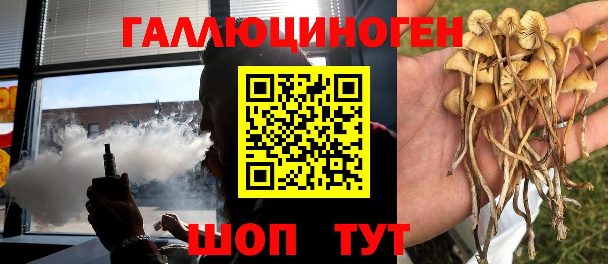 где купить   Вход с VPN  Севастополь  Псилоцибиновые грибы прущие грибы 